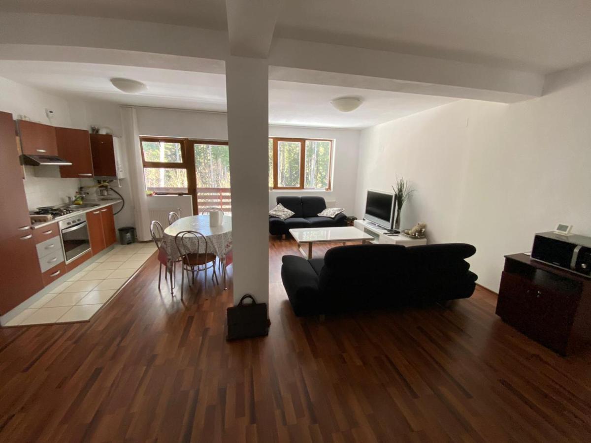 Residence Two Predeal Εξωτερικό φωτογραφία